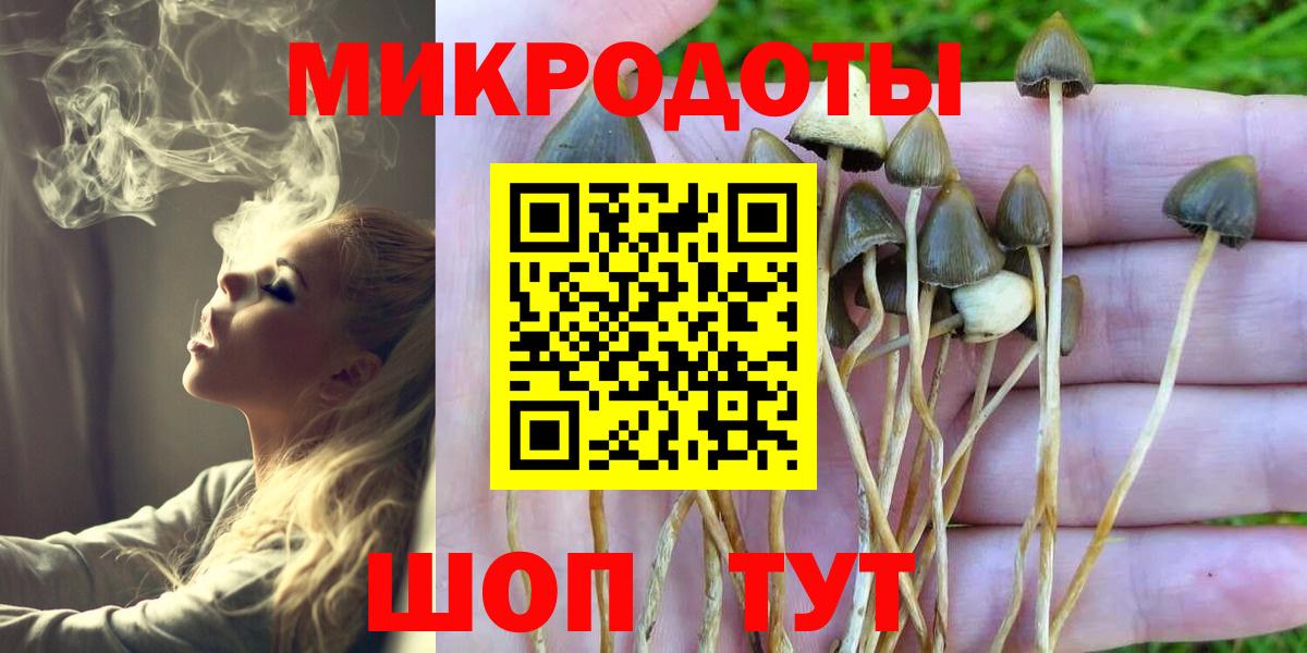 Галлюциногенные грибы Psilocybine cubensis  Галлюциногенные грибы Psilocybe  Вход с VPN  Лениногорск 